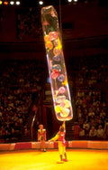 aerial acrobatics circus 1980s 1990s A4 Photo Print