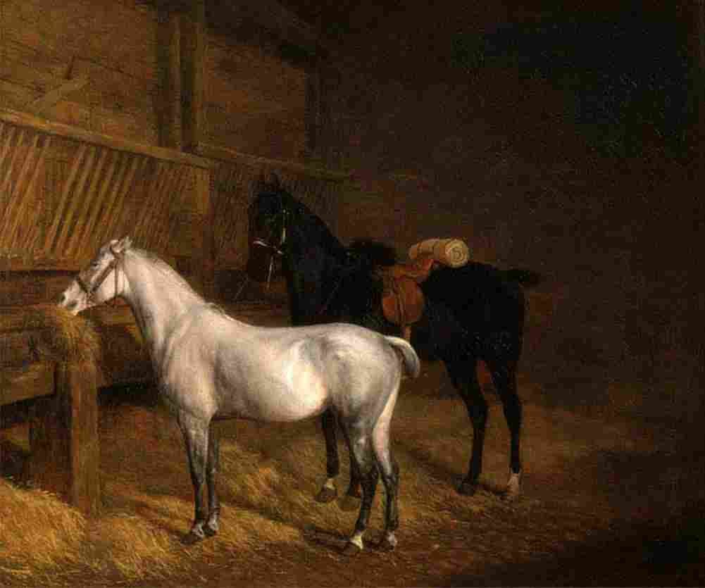 agas a grey pony and a black charger in a stable Art A4 Photo Print