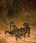 agas clouded leopards Art A4 Photo Print