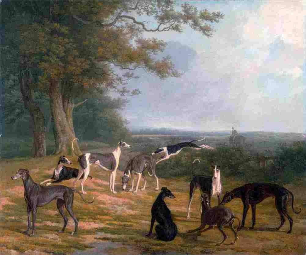 agas greyhounds in a landscape Art A4 Photo Print