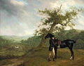 agas irving with his black hunter beneath a blasted oak and hounds being put into a covert beyond Art A4 Photo Print