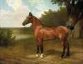 agas lord bingley s hunter Art A4 Photo Print