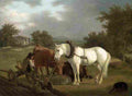 agas rural landscape with a ploughman resting with his animals Art A4 Photo Print