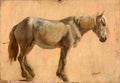 agas study of a grey horse Art A4 Photo Print