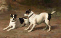 agas two terriers by a mossy bank Art A4 Photo Print
