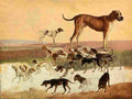 agasse study of dogs Art A4 Photo Print