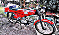 ajw fox cub motorbike A4 Photo Print
