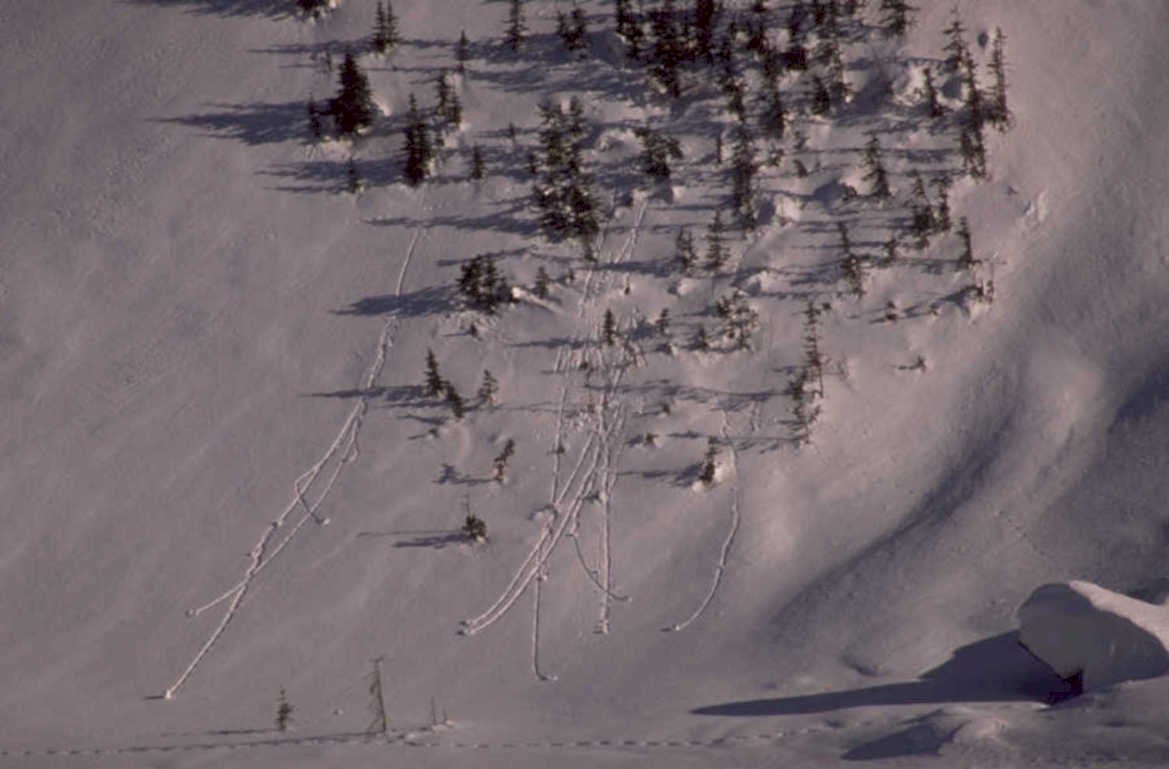 alaska snow avalanche 1980s 1990s A4 Photo Print