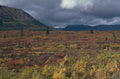 alaska tundra autumn 1980s 1990s A4 Photo Print