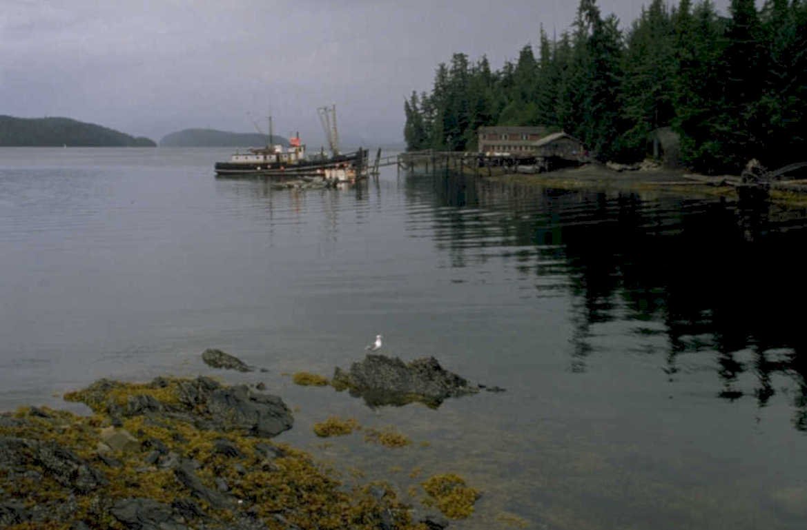 alaskan coast fishing 1980s 1990s A4 Photo Print