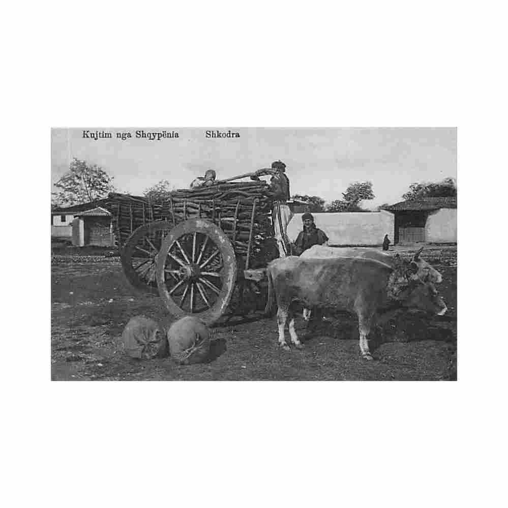 albania shkoder transport of wood marubbi Vintage A4 Photo Print