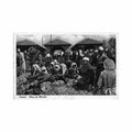 albania tirana the market square Vintage A4 Photo Print