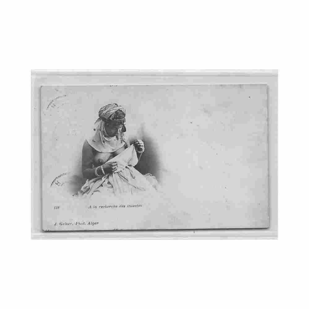 algeria in search of insects j geiser 138 Vintage A4 Photo Print