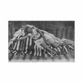 algeria moorish nd 137a Vintage A4 Photo Print