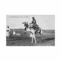 algerie beni abbes un mehariste extreme sud oranais ed inconnu 21 Vintage A4 Photo Print