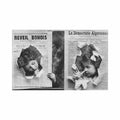 algerie bone annaba journal eclate reveil bonois la democratie algerienne Vintage A4 Photo Print