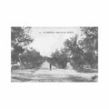 algerie el kreider el kheiter allee du parc militaire ed collection etoile albert 14 Vintage A4 Photo Print