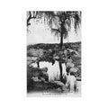 algerie environs de tlemcen la source d ain fezza ed levy ll 135 Vintage A4 Photo Print