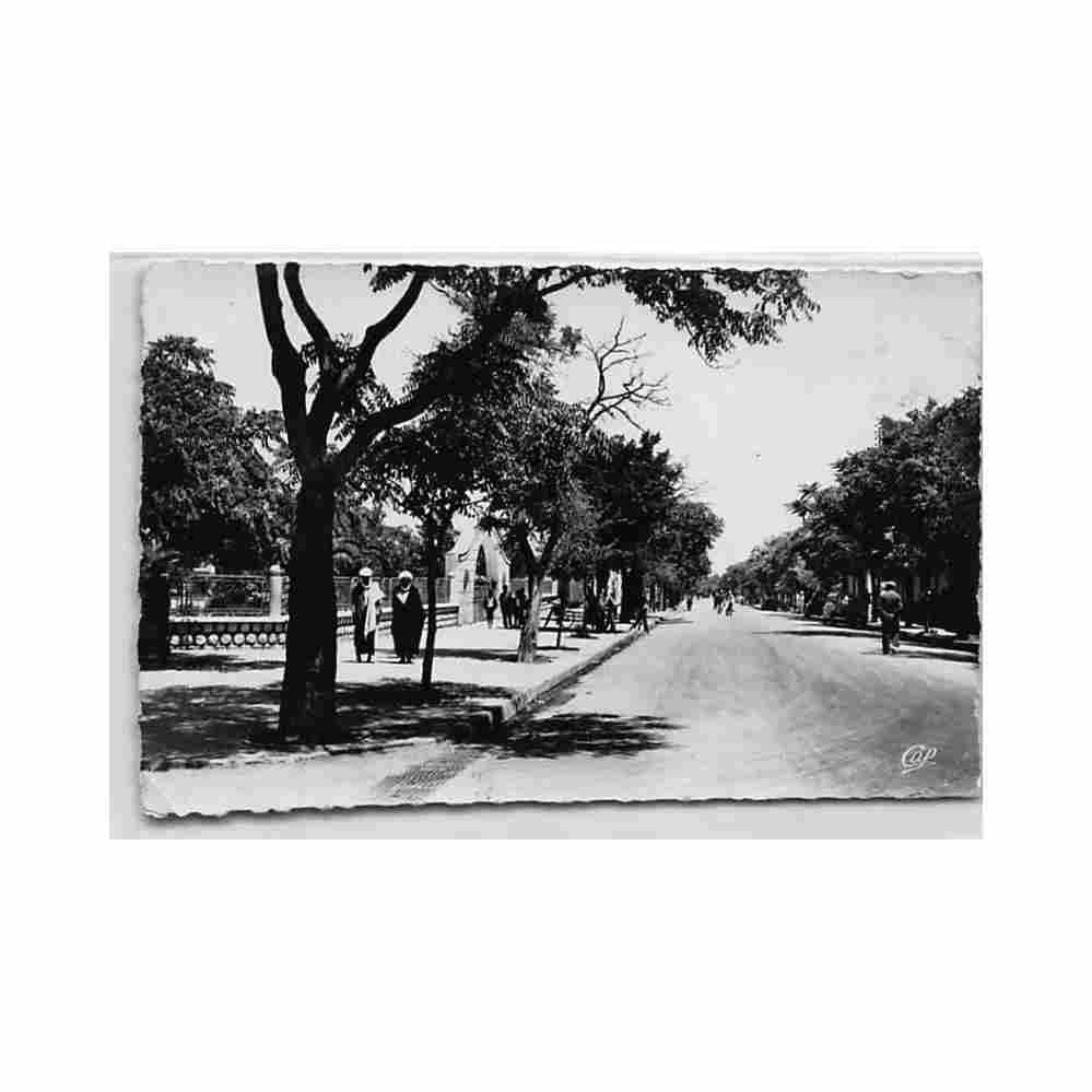 algerie le teleagh le boulevard national ed cap 1506 Vintage A4 Photo Print