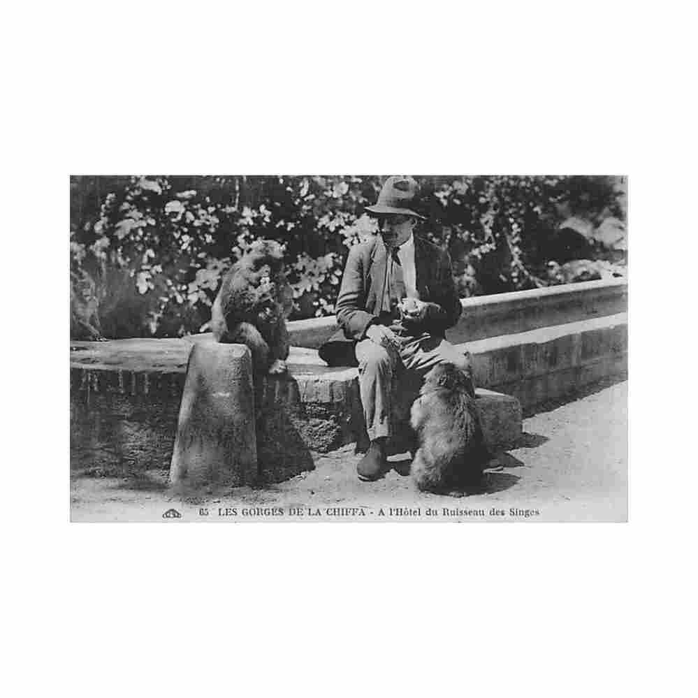 algerie les gorges de la chiffa a l hotel du ruisseau des singes ed cap 65 Vintage A4 Photo Print