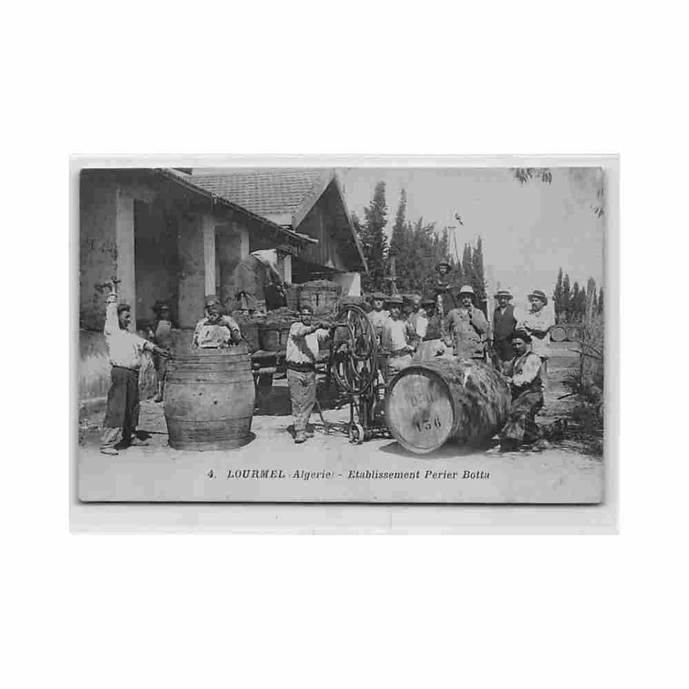 algerie lourmel el amria vendanges etablissement perier botta ed boumendil 4 Vintage A4 Photo Print