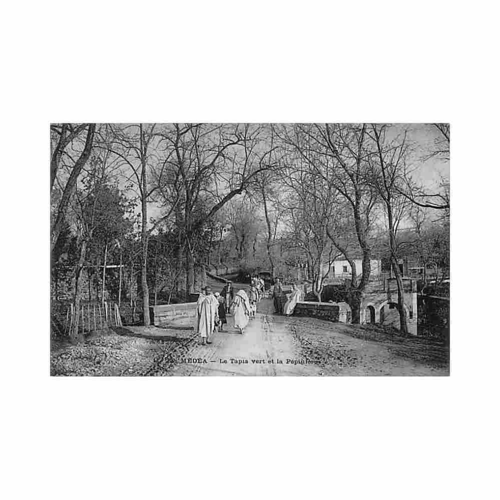 algerie medea le tapis vert et la pepiniere ed collection ideale ps 29 Vintage A4 Photo Print