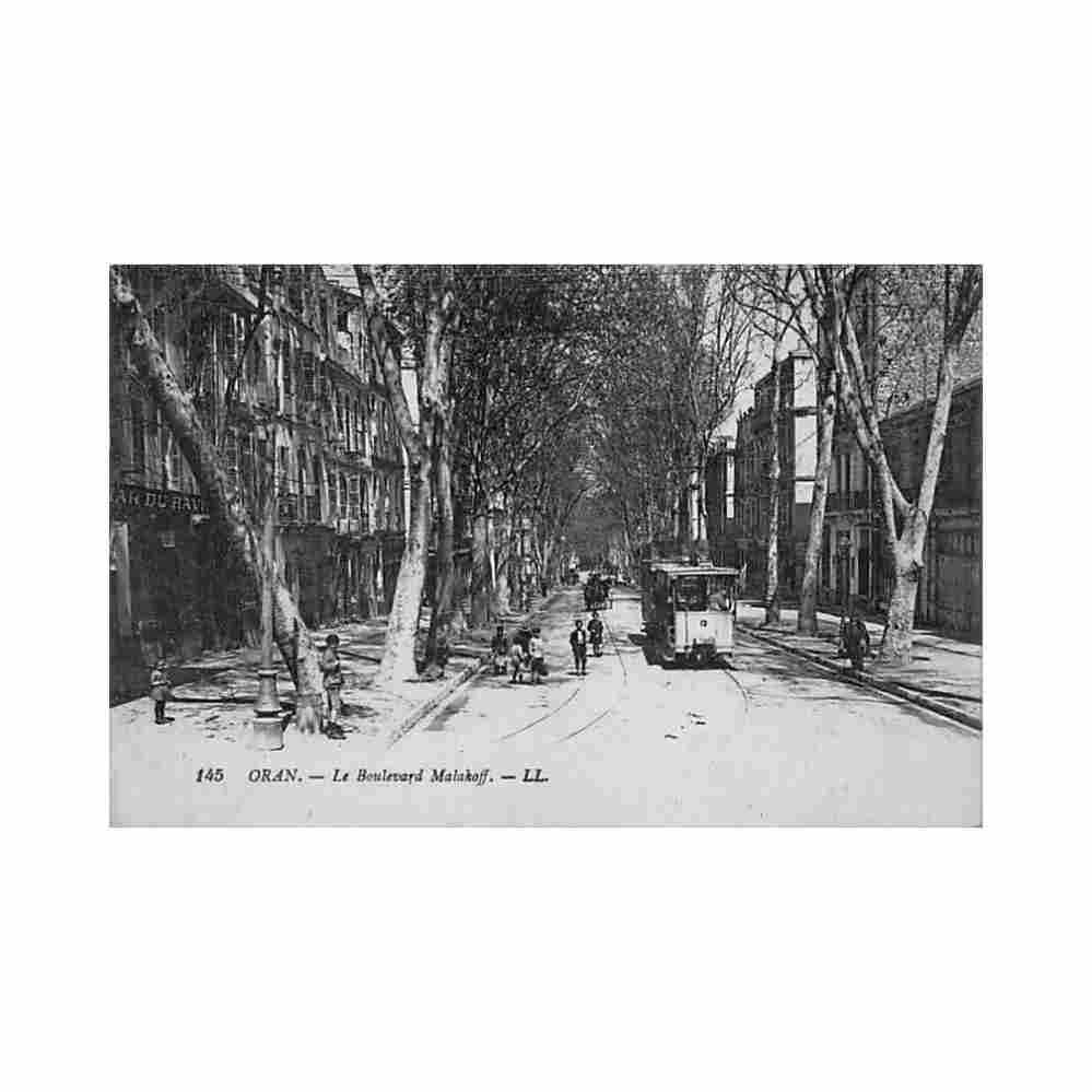 algerie oran le boulevard malakoff tramway 13 ed levy ll 145 Vintage A4 Photo Print