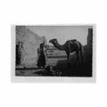 algerie tindouf touareg le retour du r guibat piste imperiale n 1 carte Vintage A4 Photo Print