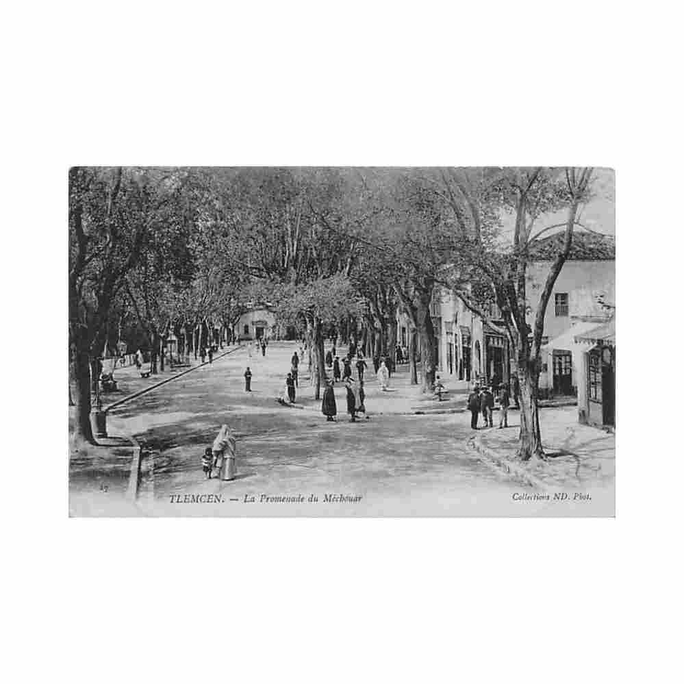 algerie tlemcen la promenade du mechouar Vintage A4 Photo Print