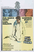 all fall down us 1sh Advert A4 Photo Print