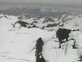 alpinesummit snowcover 20241980s 1990s A4 Photo Print