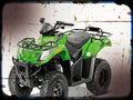 alterra 300 Arctic Cat A4 Photo Print Motorbike Vintage Aged