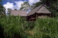 amazonian village houses 2 1980s 1990s A4 Photo Print