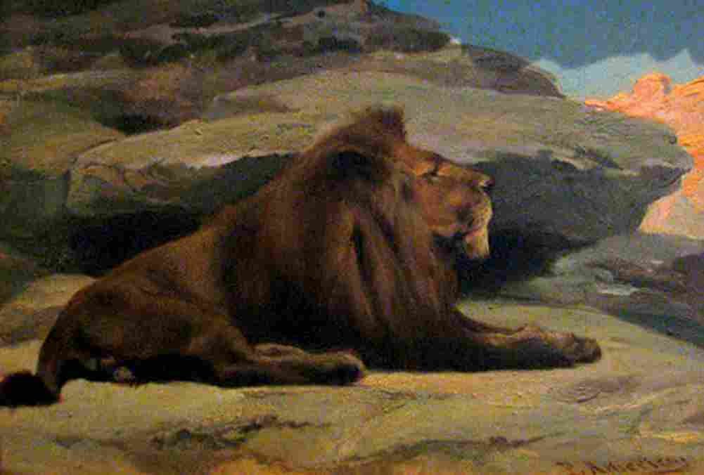 americo lion Art A4 Photo Print
