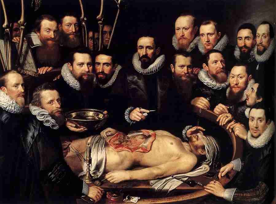 anatomy Art A4 Photo Print