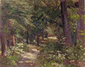 and Path in the Woods Art A4 Photo Print