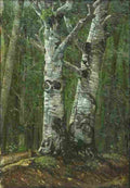 and Summer Beech Forest Art A4 Photo Print