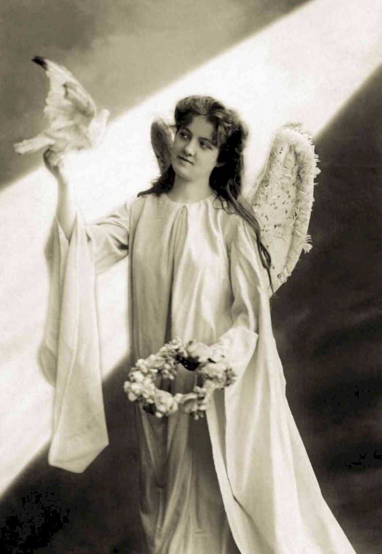 angelic dove wreathVintage 20th Century 1900s A4 Photo Print