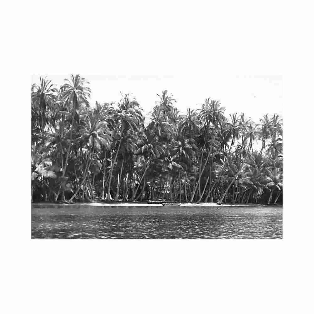angola luanda mussolo island direccao dos servicos de economica Vintage A4 Photo Print