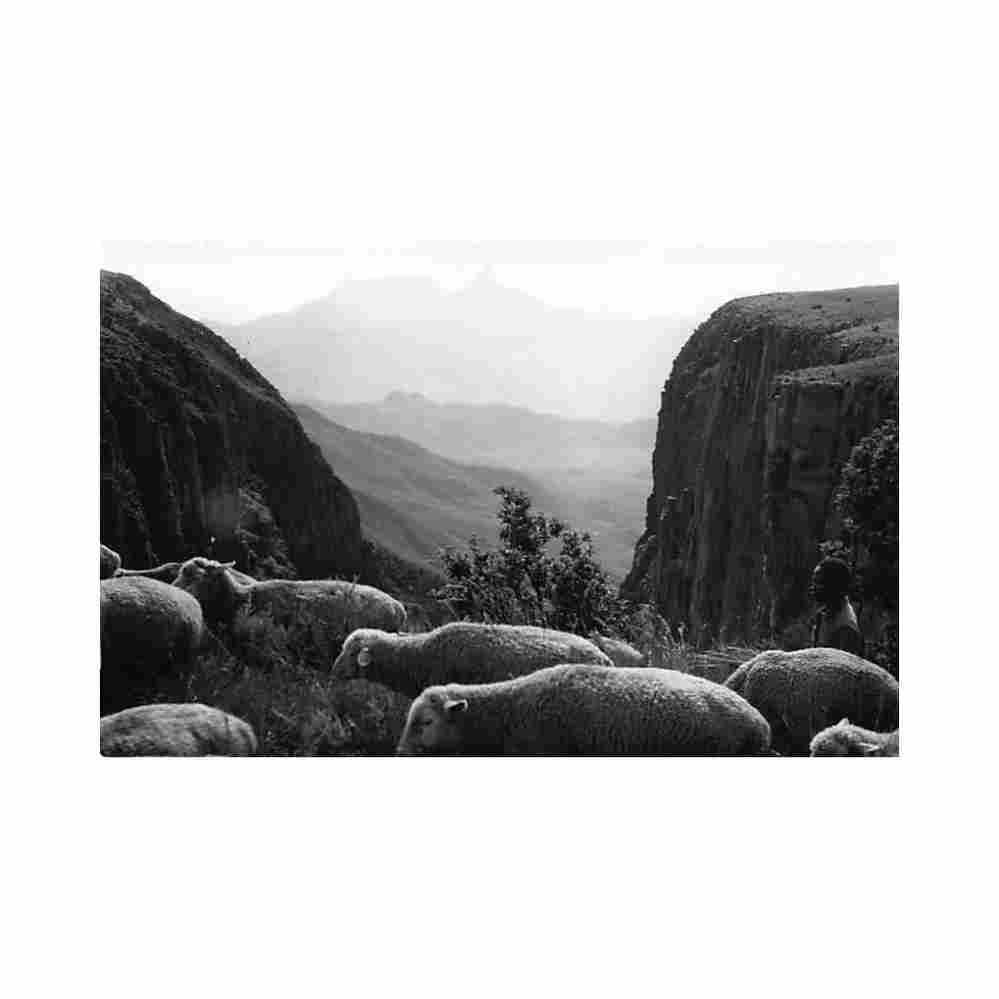 angola the chela mountain range direccao dos servicos de economica Vintage A4 Photo Print