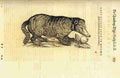 animal6 Art A4 Photo Print UK