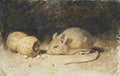 anker a mouse with a peanut Art A4 Photo Print
