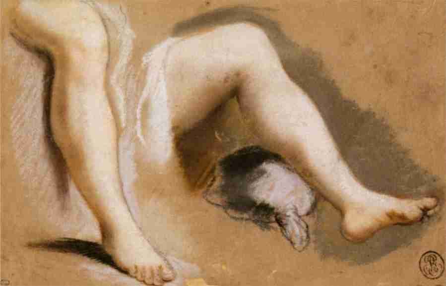 apelles2 Art A4 Photo Print