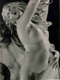 apollo e Art A4 Photo Print