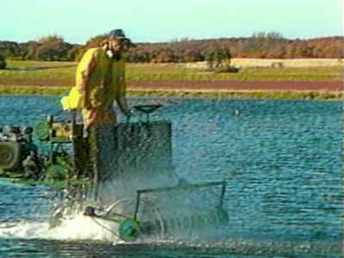 aquatic weed harvesting1980s 1990s A4 Photo Print
