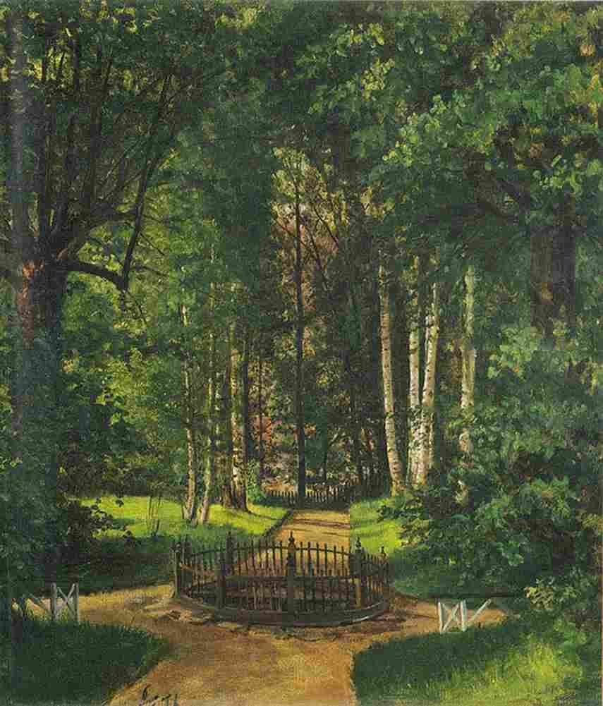 arbo Fra Gulskog Art A4 Photo Print