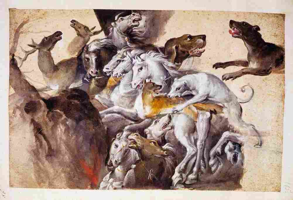 arc Composition with Animals Art A4 Photo Print