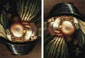 arc The Gardner Art A4 Photo Print