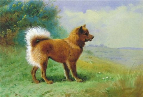 archibald thorburn a chow dog A4 Photo Print