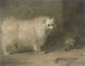 archibald thorburn a chow A4 Photo Print